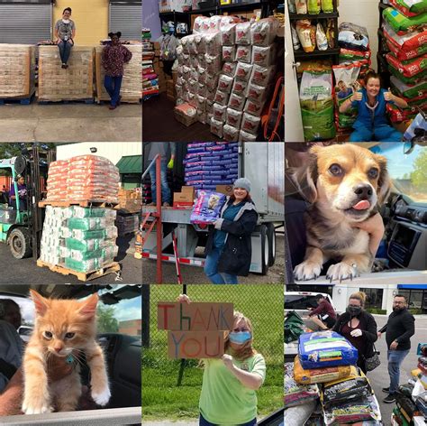 Announcing Greater Good Charities’ GOODS Program.